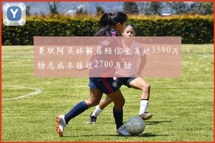 曼联阿莫林解雇赔偿金高达1590万镑总成本接近2700万镑