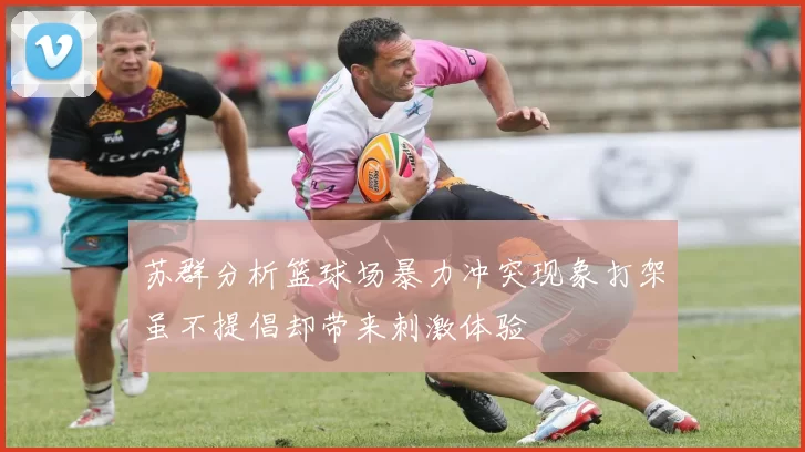 苏群分析篮球场暴力冲突现象打架虽不提倡却带来刺激体验